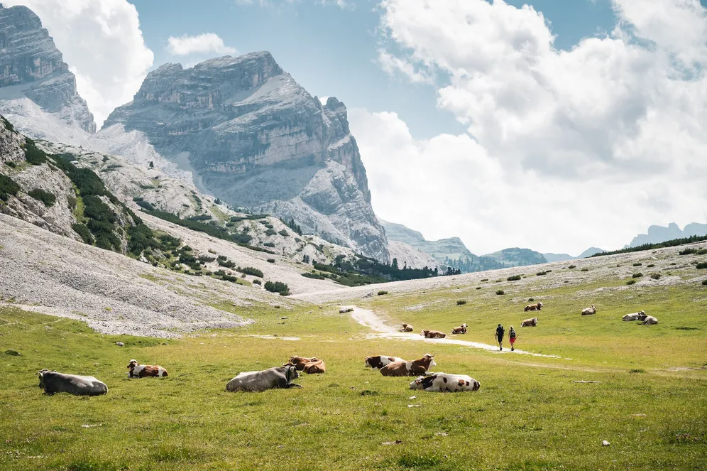 𝗟𝗔 𝗠𝗨𝗡𝗧 𝗗𝗘 𝗙𝗔𝗡𝗘𝗦 👑
L’Alpe di Fanes, nel cuore del Parco Naturale Fanes-Senes-Braies, è un luogo dove 𝗻𝗮𝘁𝘂𝗿𝗮, 𝘀𝘁𝗼𝗿𝗶𝗮 𝗲 𝗹𝗲𝗴𝗴𝗲𝗻𝗱𝗮 𝘀𝗶 𝗶𝗻𝗰𝗼