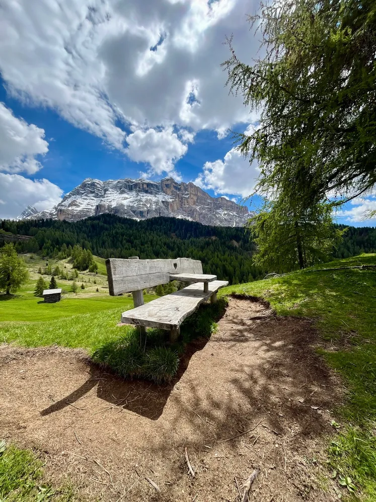 𝗦𝗖𝗘𝗡𝗜𝗖 𝗘𝗦𝗖𝗔𝗣𝗘𝗦👣
Tra i nostri panorami spettacolari, troverai diversi 𝗽𝘂𝗻𝘁𝗶 𝗱𝗶 𝗼𝘀𝘀𝗲𝗿𝘃𝗮𝘇𝗶𝗼𝗻𝗲 da cui ammirare viste mozzafiato su prati,